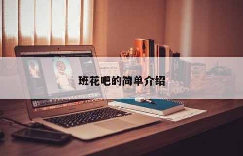 班花吧的简单介绍