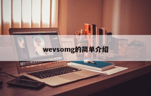 wevsomg的简单介绍